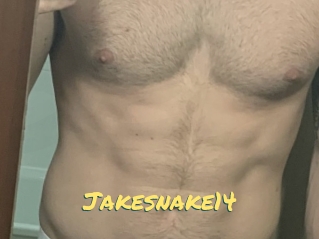 Jakesnake14