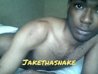 Jake_tha_snake