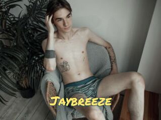 Jaybreeze
