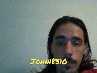 John18310