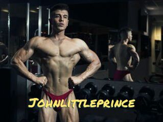 Johnlittleprince