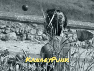 KanaryPunk