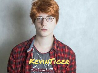 KevinTiger