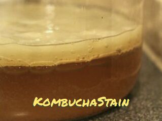 KombuchaStain