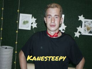 Kanesteepy
