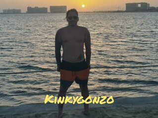 Kinkygonzo