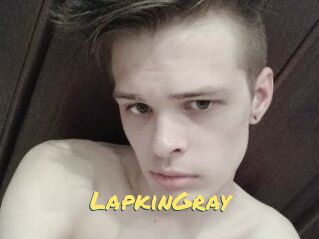 LapkinGray