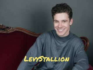LevyStallion