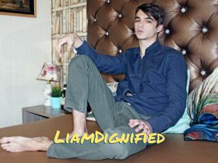 LiamDignified