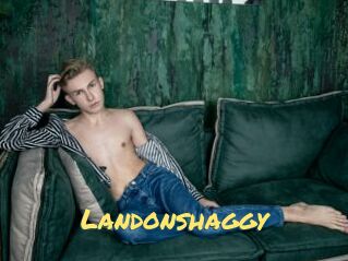 Landonshaggy