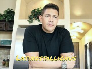 Latinostallionus