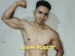 Liam_forest