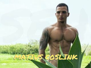 MATIUS_COSLINK