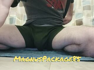 MagnusPackage85
