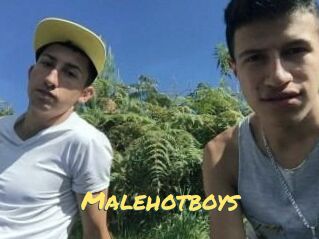 Malehotboys