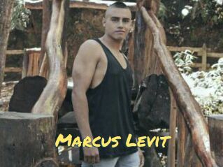 Marcus_Levit