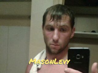 Mason_Levy