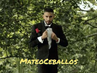 MateoCeballos