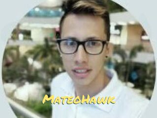 MateoHawk