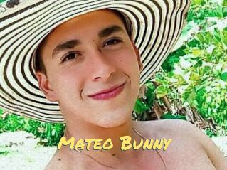 Mateo_Bunny