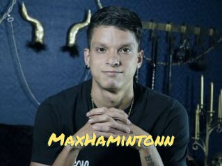 MaxHamintonn