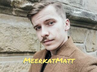 MeerkatMatt