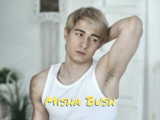 Misha_Bush