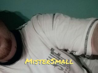 MisterSmall