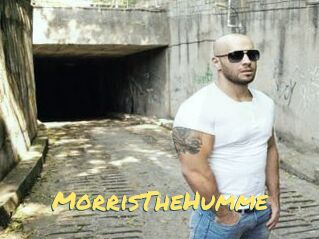 MorrisTheHumme