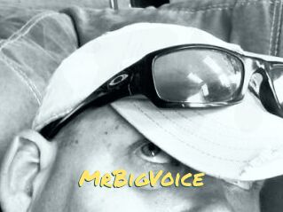 MrBigVoice