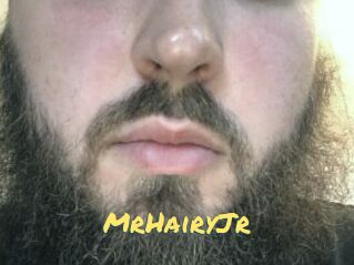 MrHairyJr