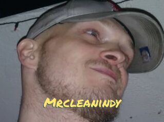 Mrcleanindy