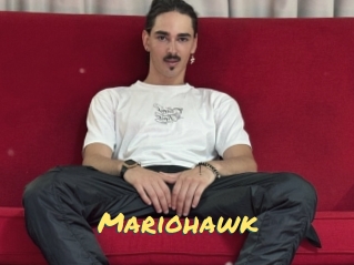 Mariohawk