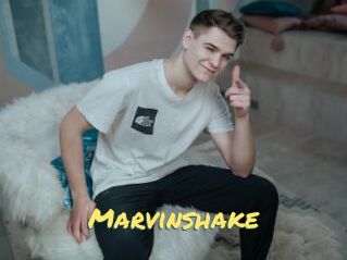 Marvinshake