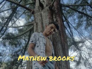 Mathew_brooks