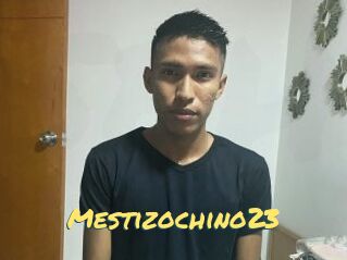 Mestizochino23