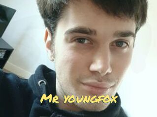 Mr_youngfox