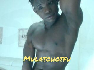 Mulatohotfu