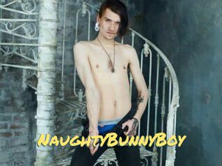 NaughtyBunnyBoy