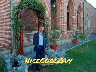 NiceCoolGuy