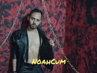 NoahCum