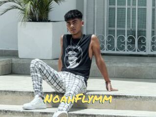 NoahFlymm