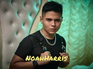 NoahHarris