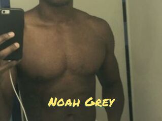 Noah_Grey