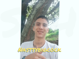 Nasttybigcock