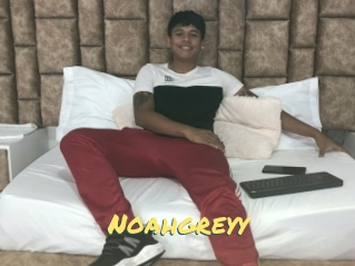 Noahgreyy