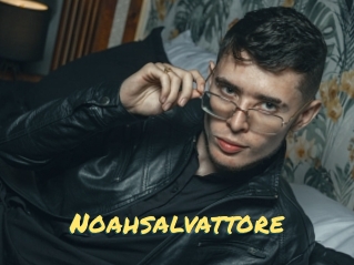 Noahsalvattore