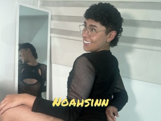Noahsinn