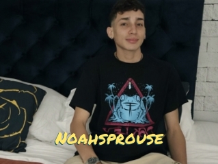 Noahsprouse