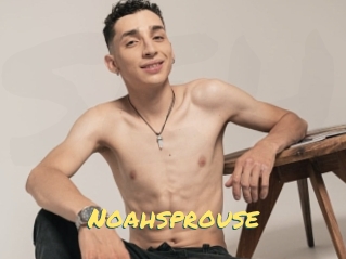 Noahsprouse